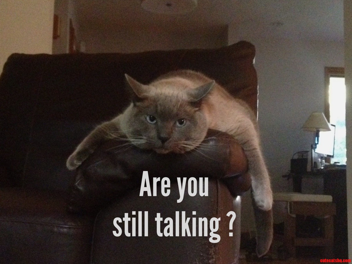 Every Evening After Work
