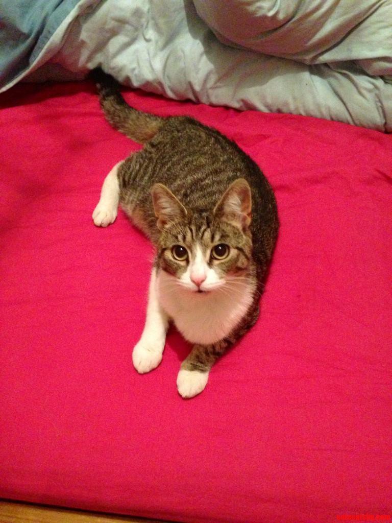 Every Time I M Packing a Suitcase I Get This Face