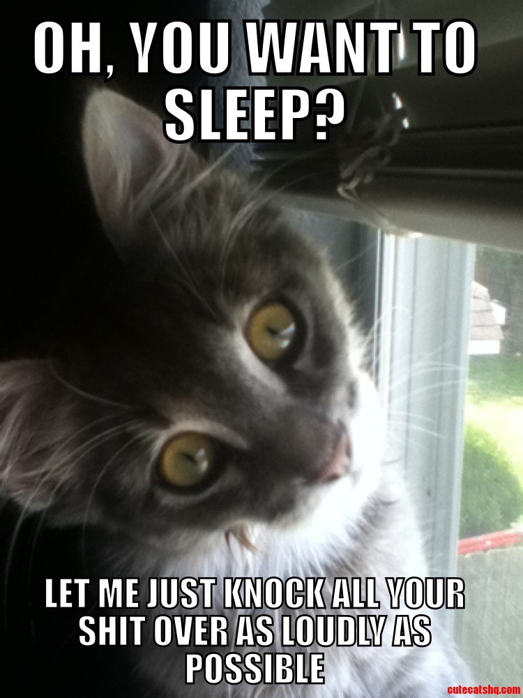 Every. Single. Night.
