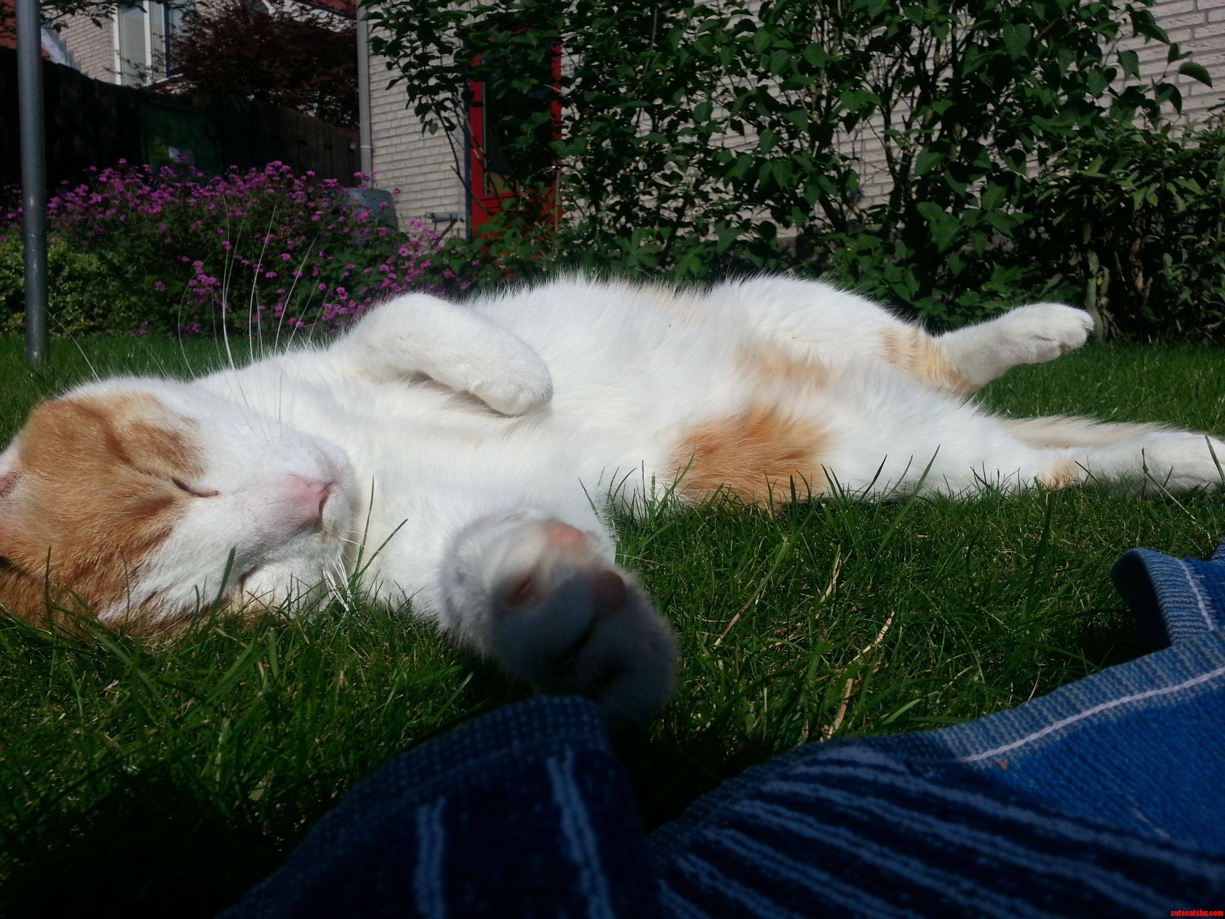 Everytime I M Lying in the Sun He Comes to Me