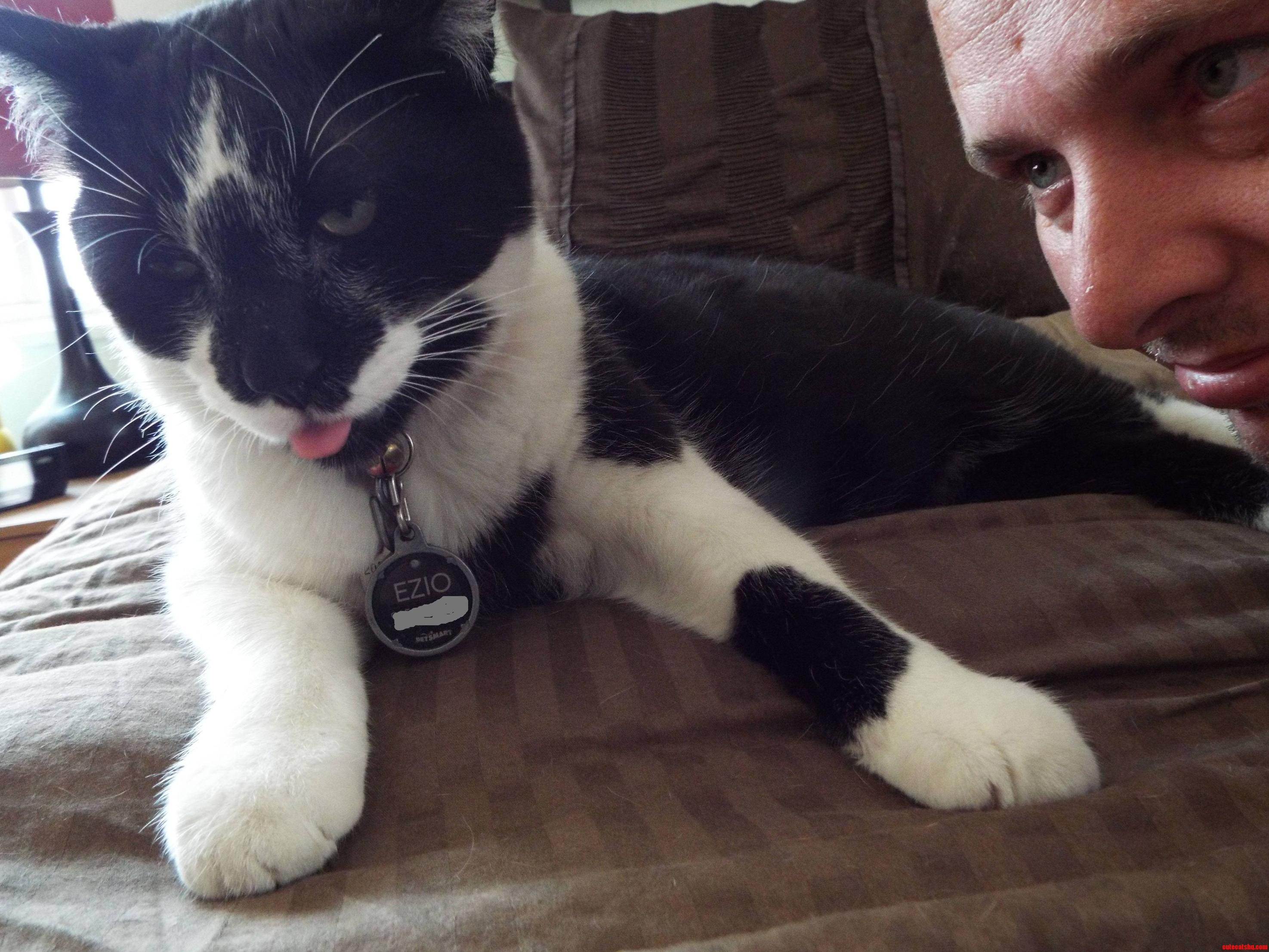 Finally Caught Cat in Derp Mode.