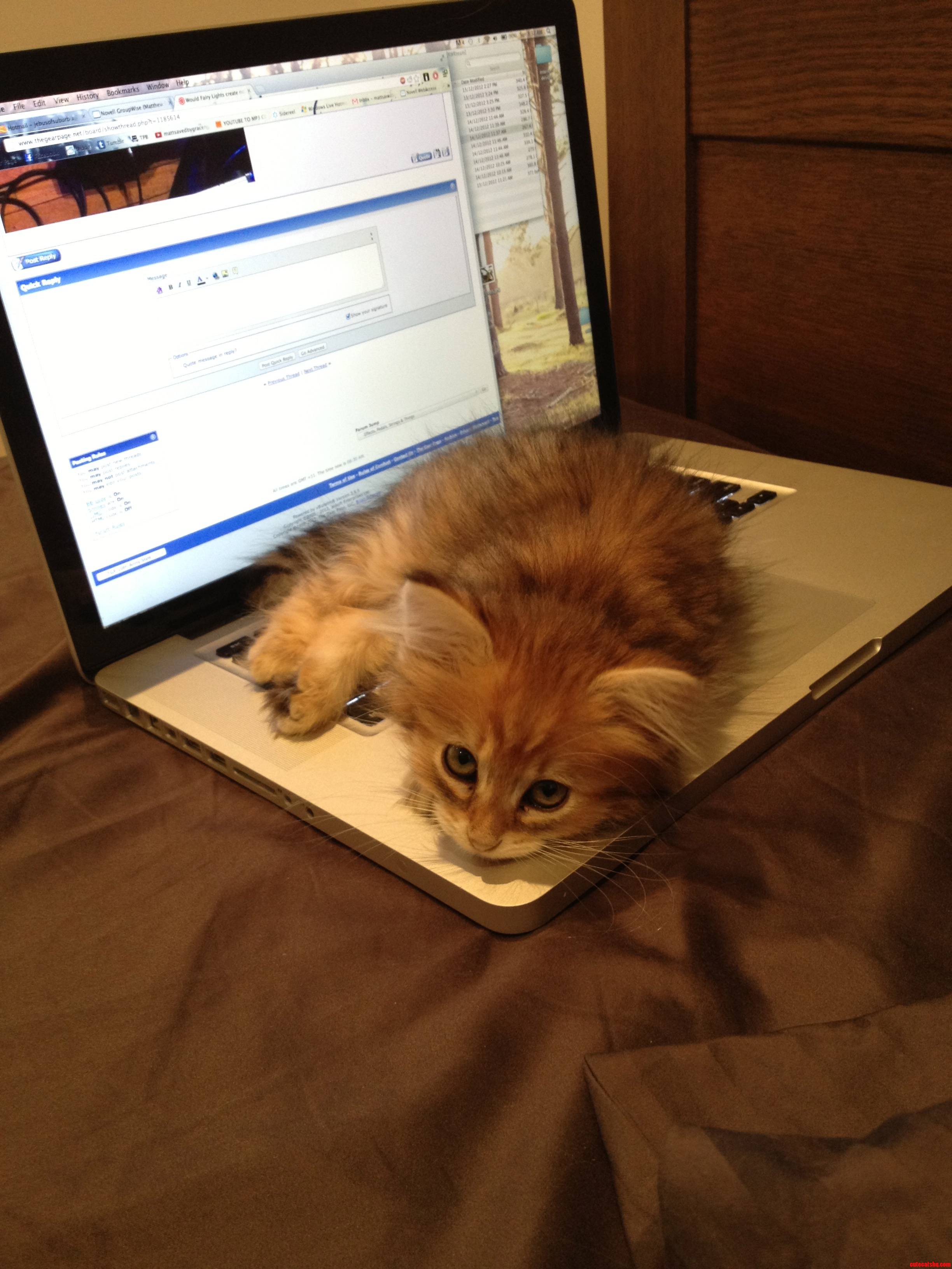 First Day at Home and Floyd Knew Exactly Where to Go
