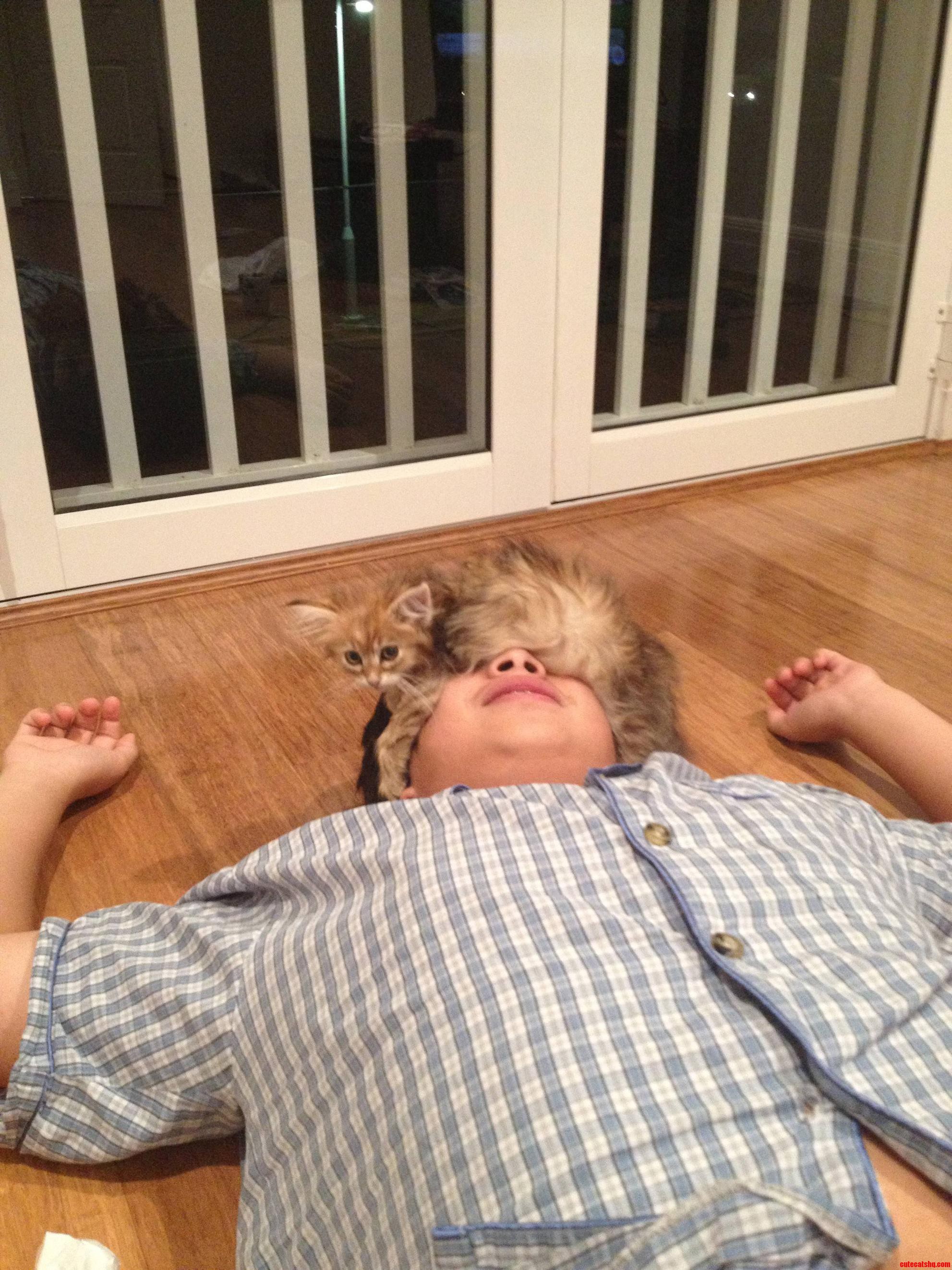 Floyd Has More of a Uses Than Just Being a Kitten. He Can Also Be a Blindfold