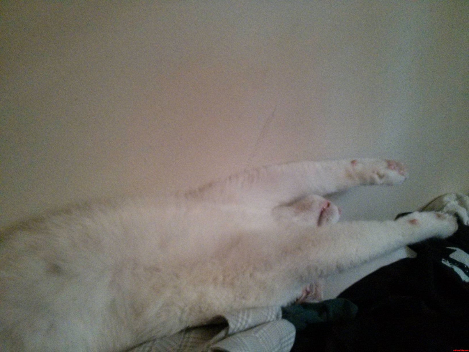 Found Him Past Out Like This