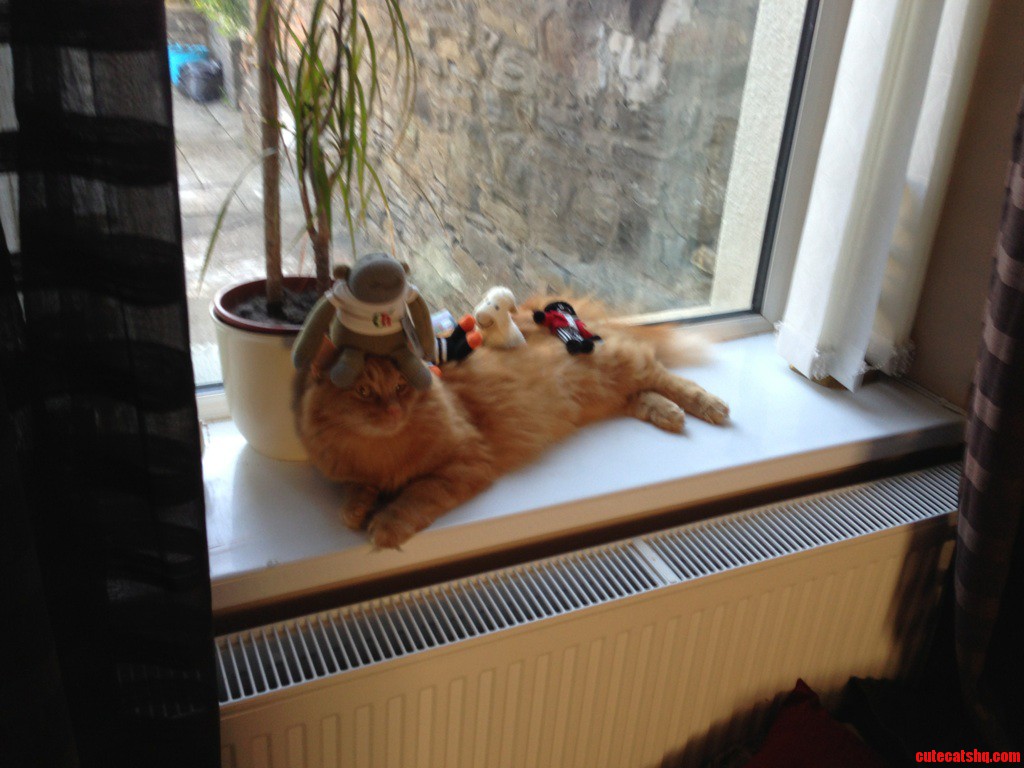 He Just Lay There and Let Me Put Do This  0 Fucks Given