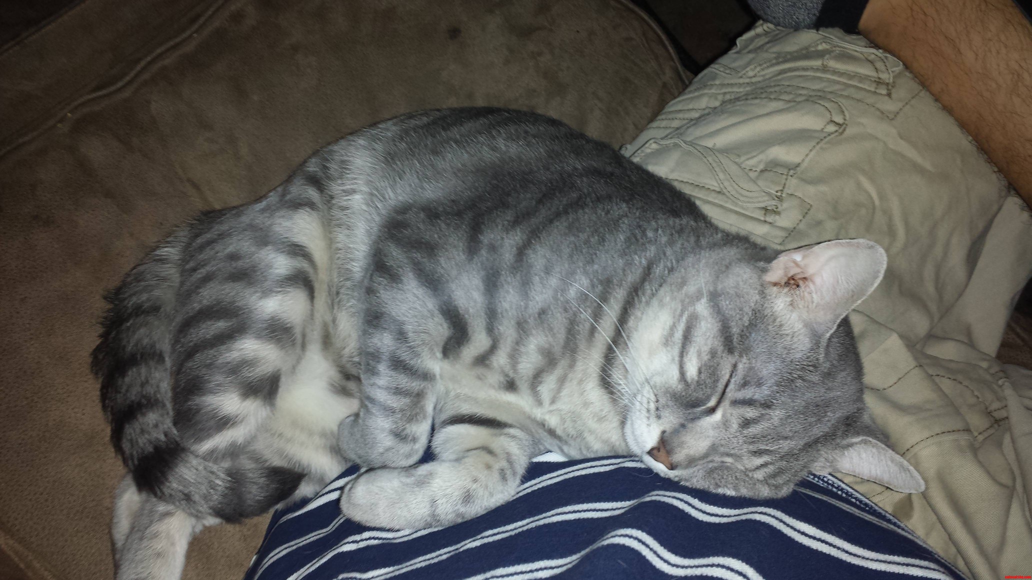 He Never Leaves My Side