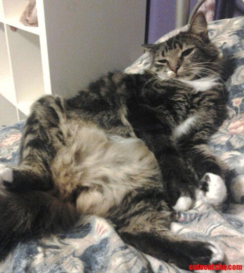 He S Pretty Much the Classiest Guy I Know.