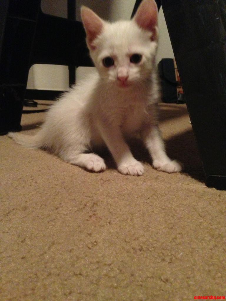 He S Really Warmed Up to Me