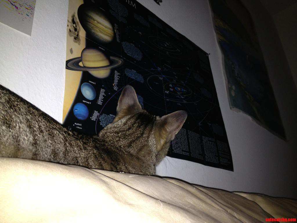 He S Studying Upon the Solar System.