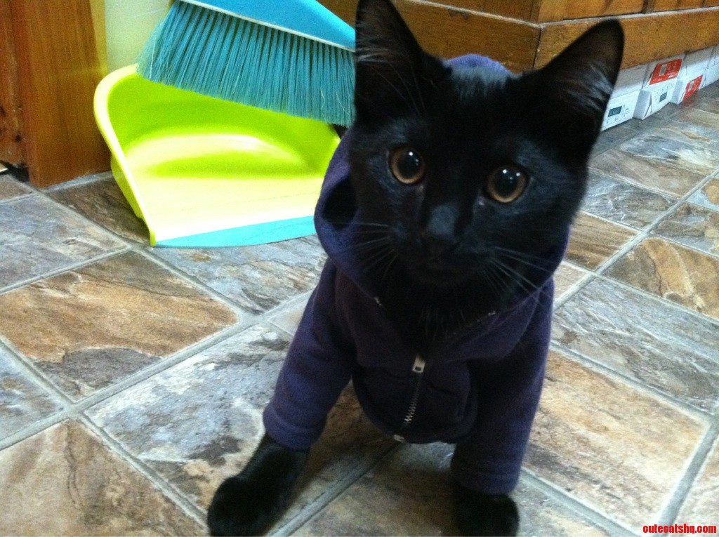 He Was Chilly Sitting in the Ac