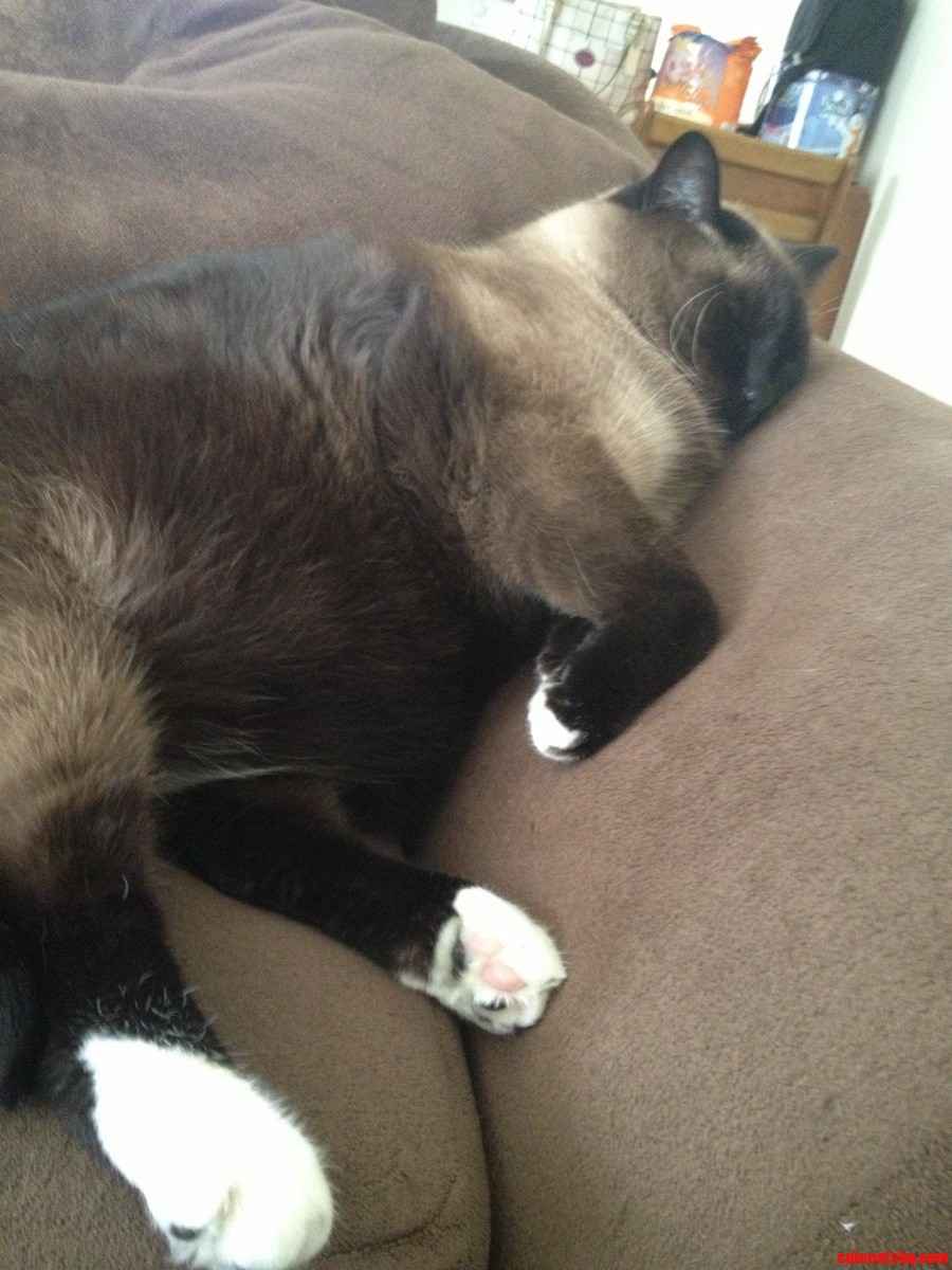 He Was Up Late Partying Last Night...
