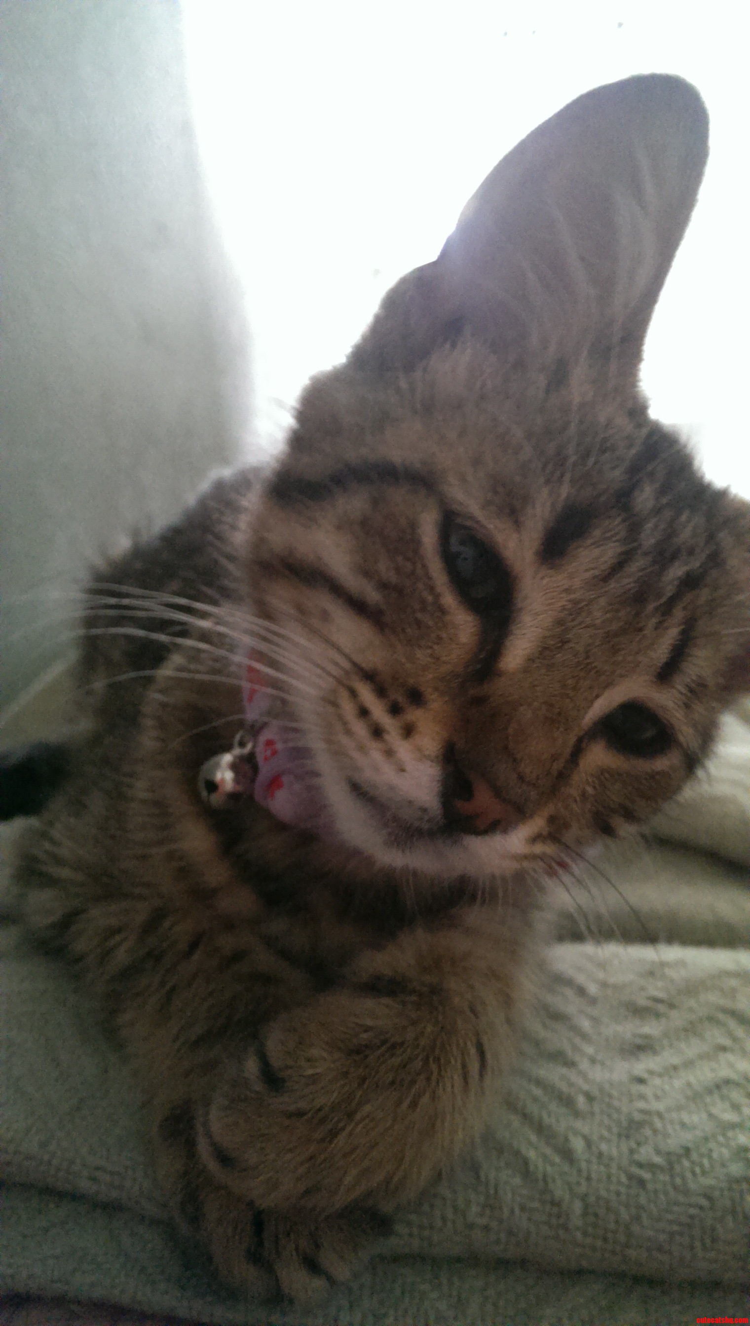Help Us Name This Little Girl
