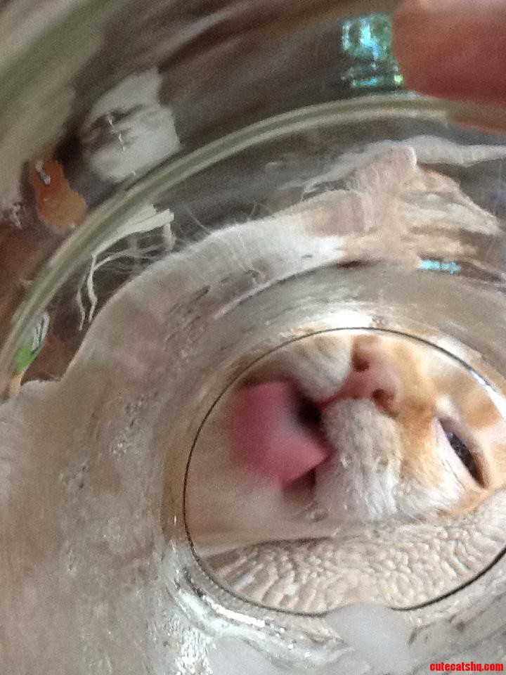 Hey  Can I Have Some