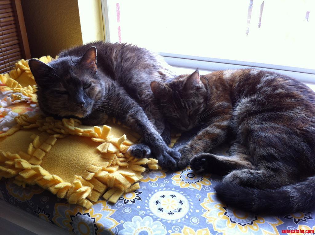 Holding Hands.