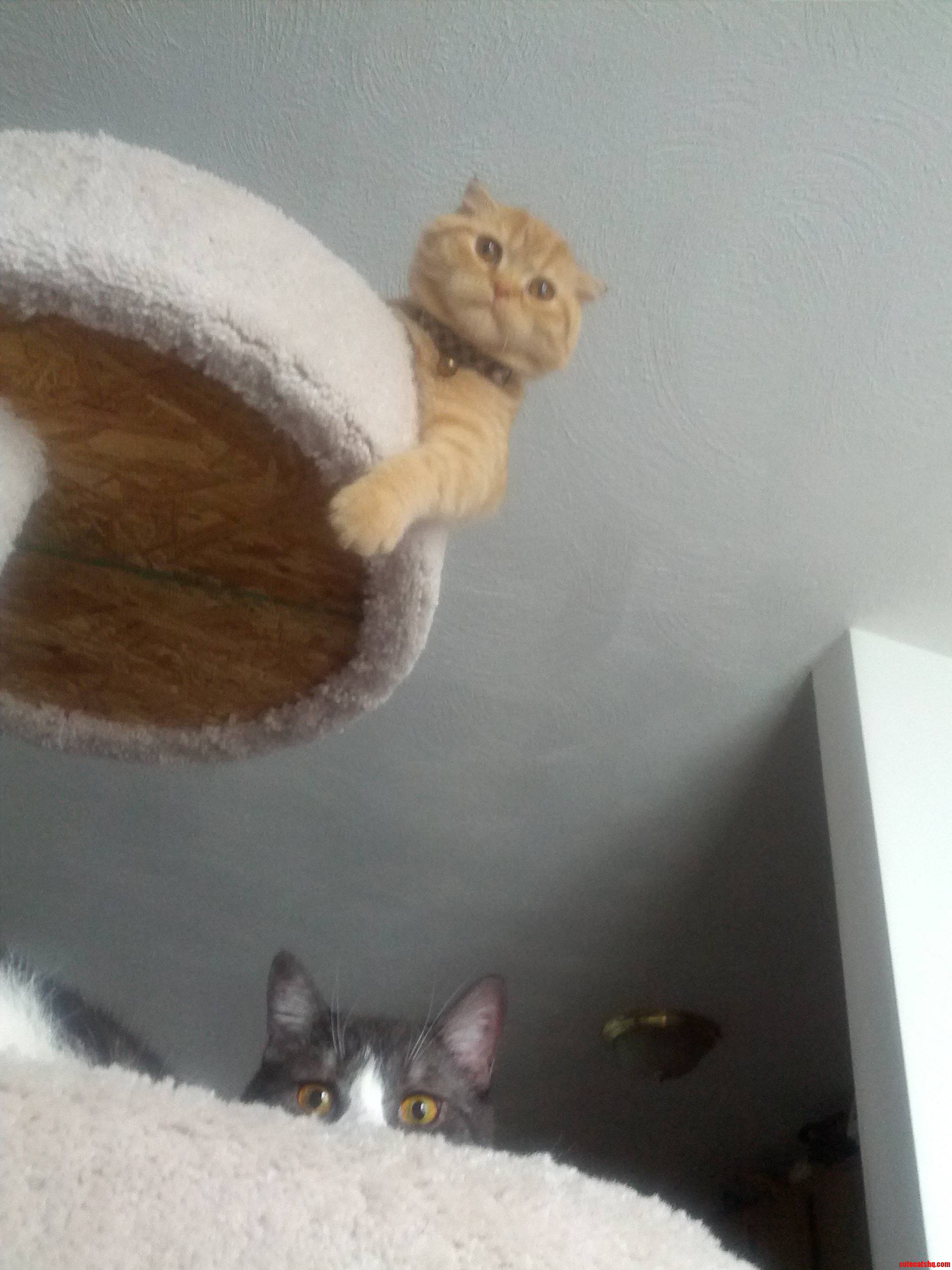 How You Doin