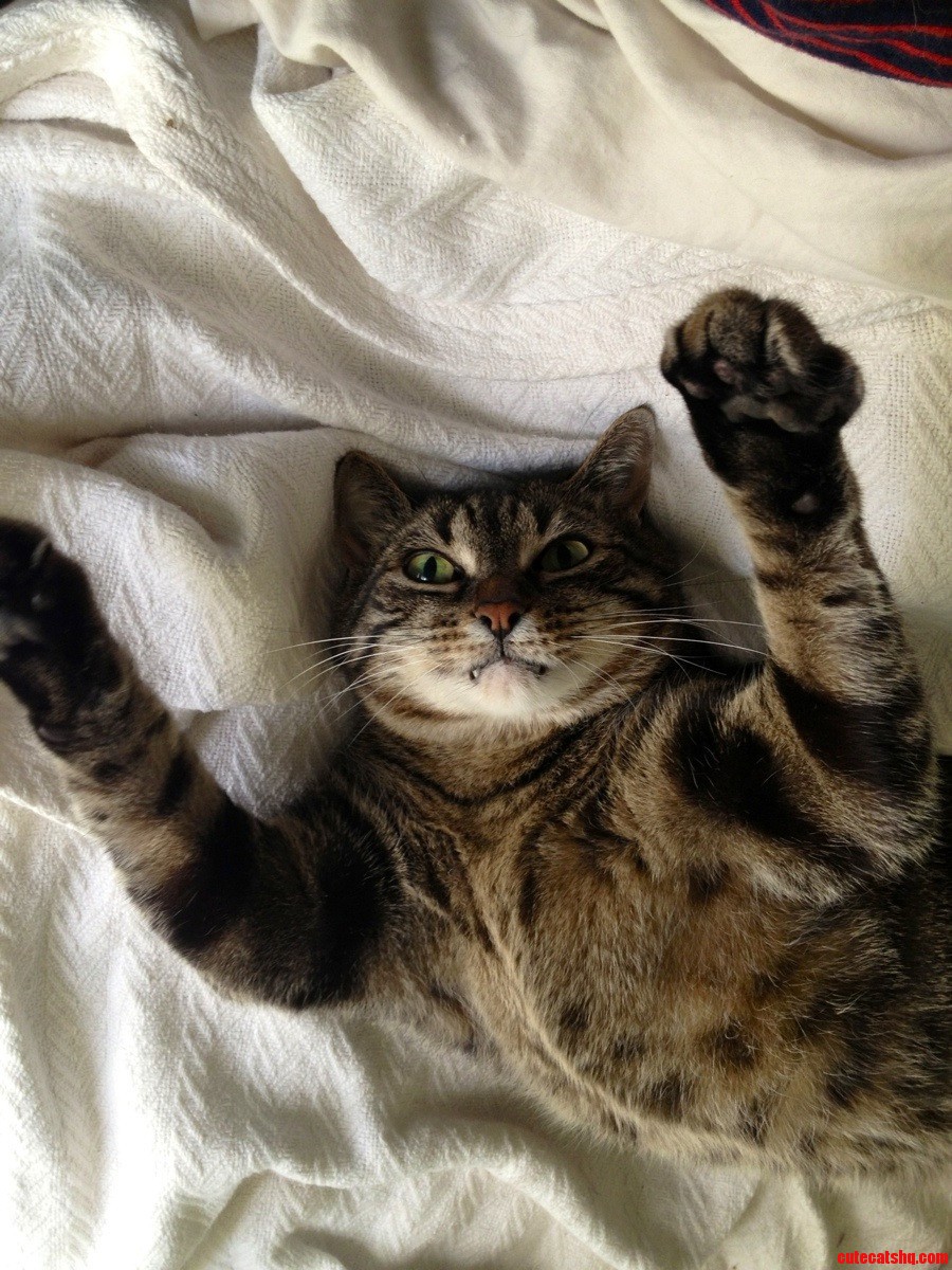 Hug Me  Bitch