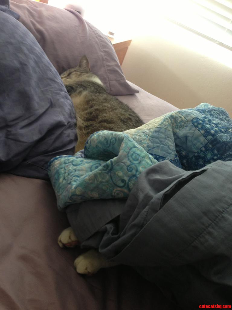 I Also Have Similar Looking Lazy Days at My House