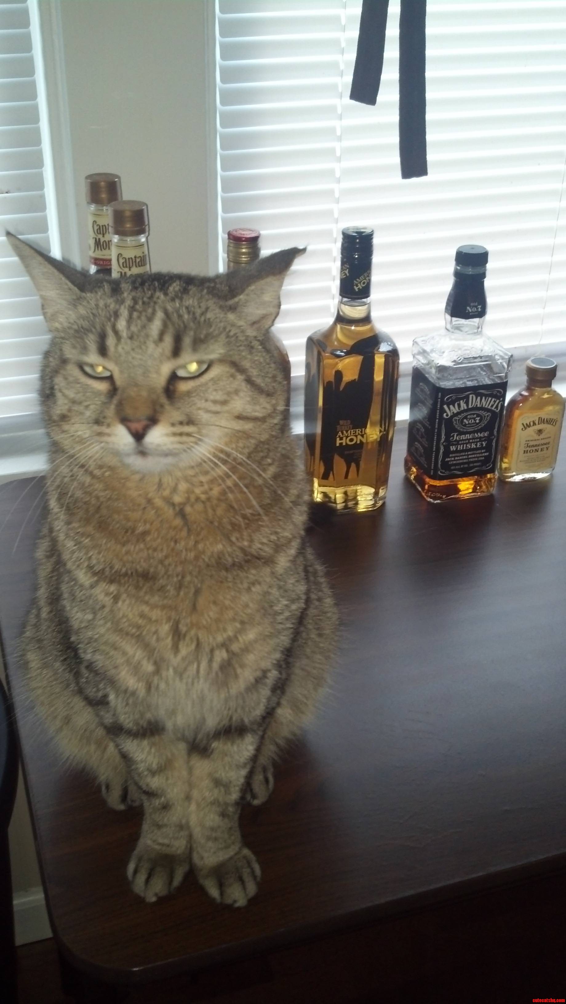 I Believe He Has Plans for the Evening