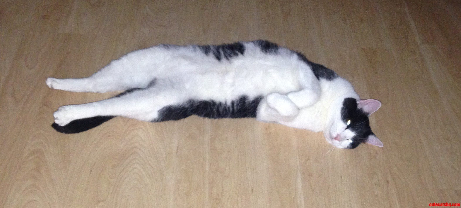 I Came Downstairs to Find This..