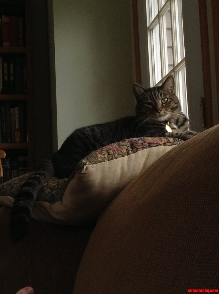 I Caught Him Staring.