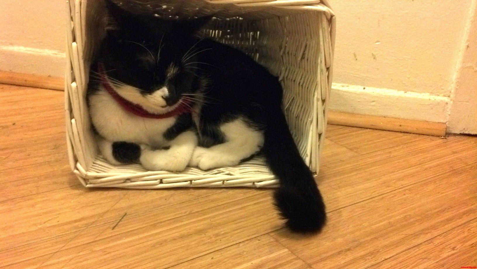 I Fits