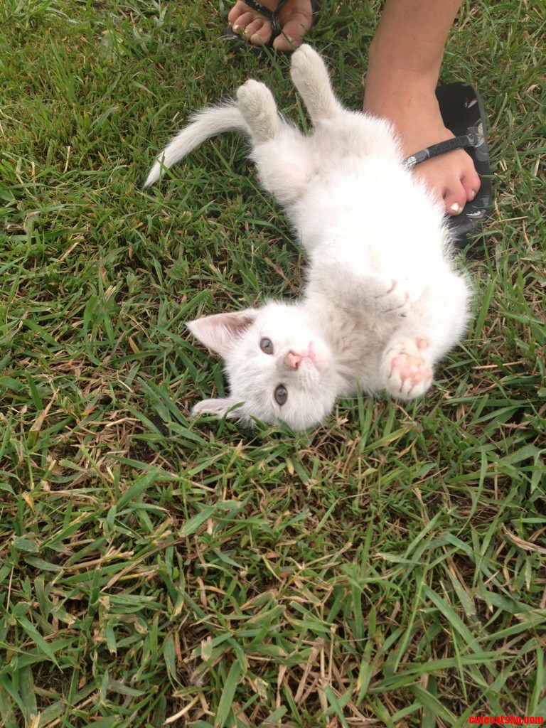 I Found Him While I Was Playing Basket Ball.