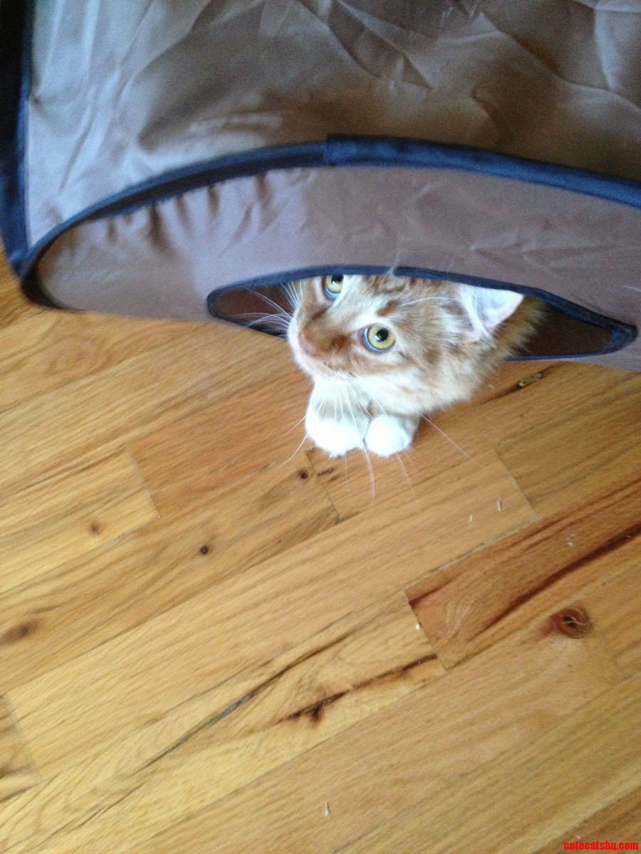 I Hate When He Looks at Me Like That.