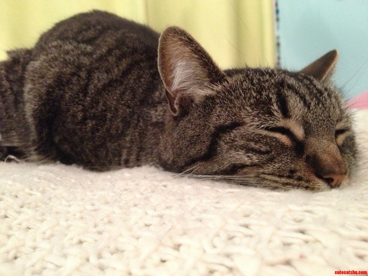 I Just Love It When She Sleeps Like This 3