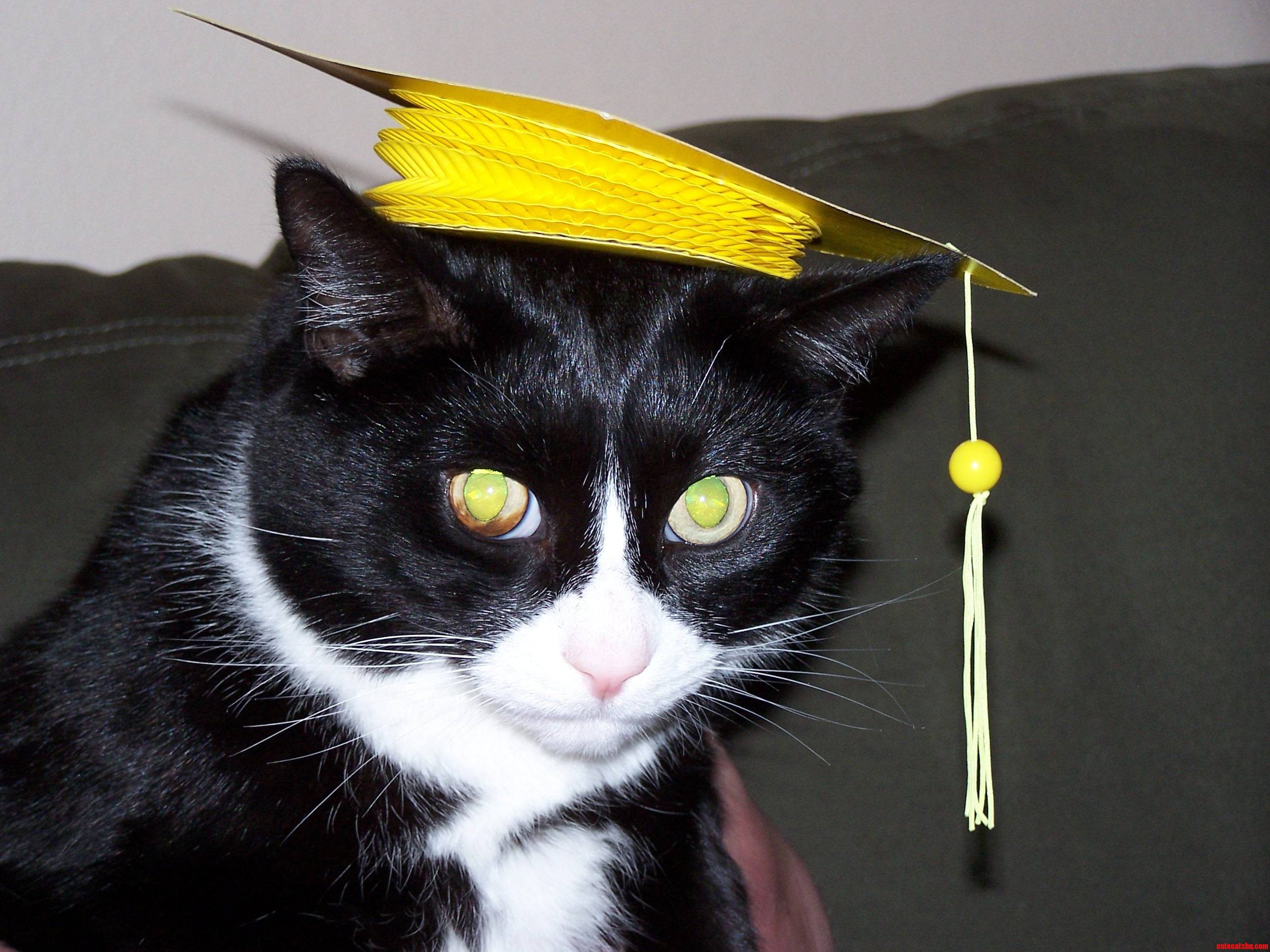 I M Edumacated
