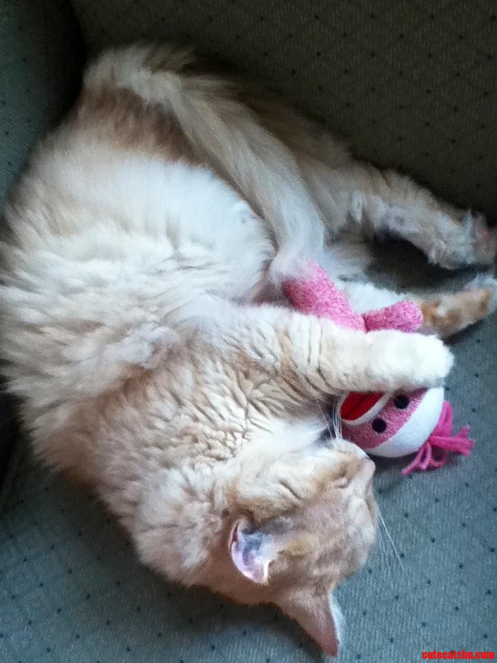 I Snuck Up on Him While He Was Sleeping