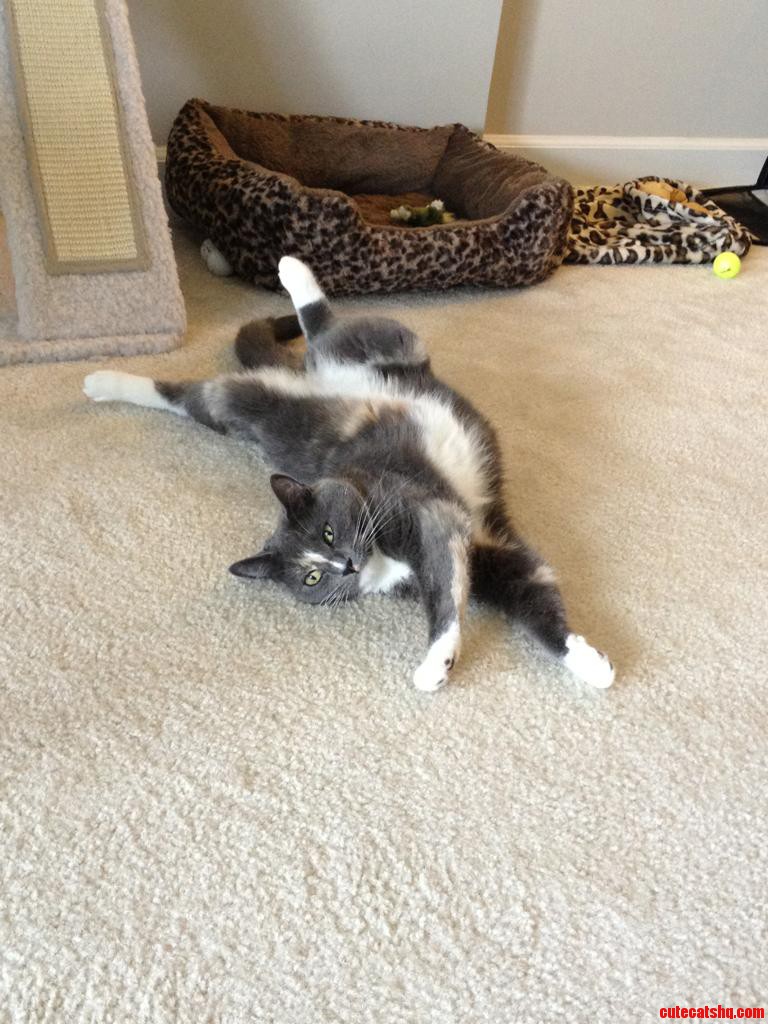 I Think She S Aware of How Adorable She Is.