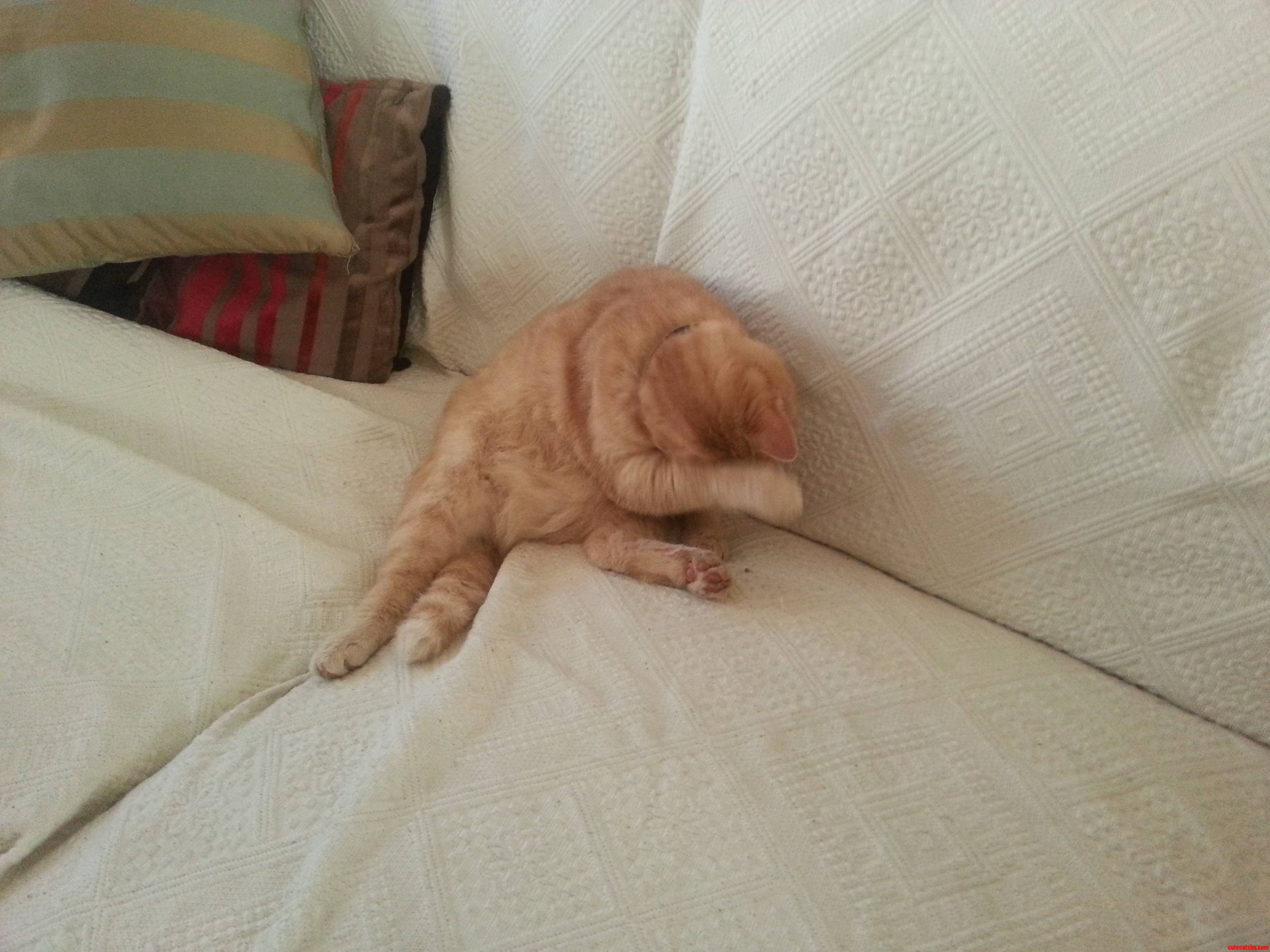 I Think She Was Embarrassed I Caught Her  Enjoying  Herself