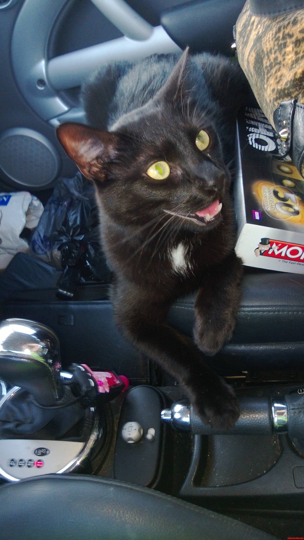 I Ve Got Your Back  Mommy. I Ll Be in Charge of the E-brake.