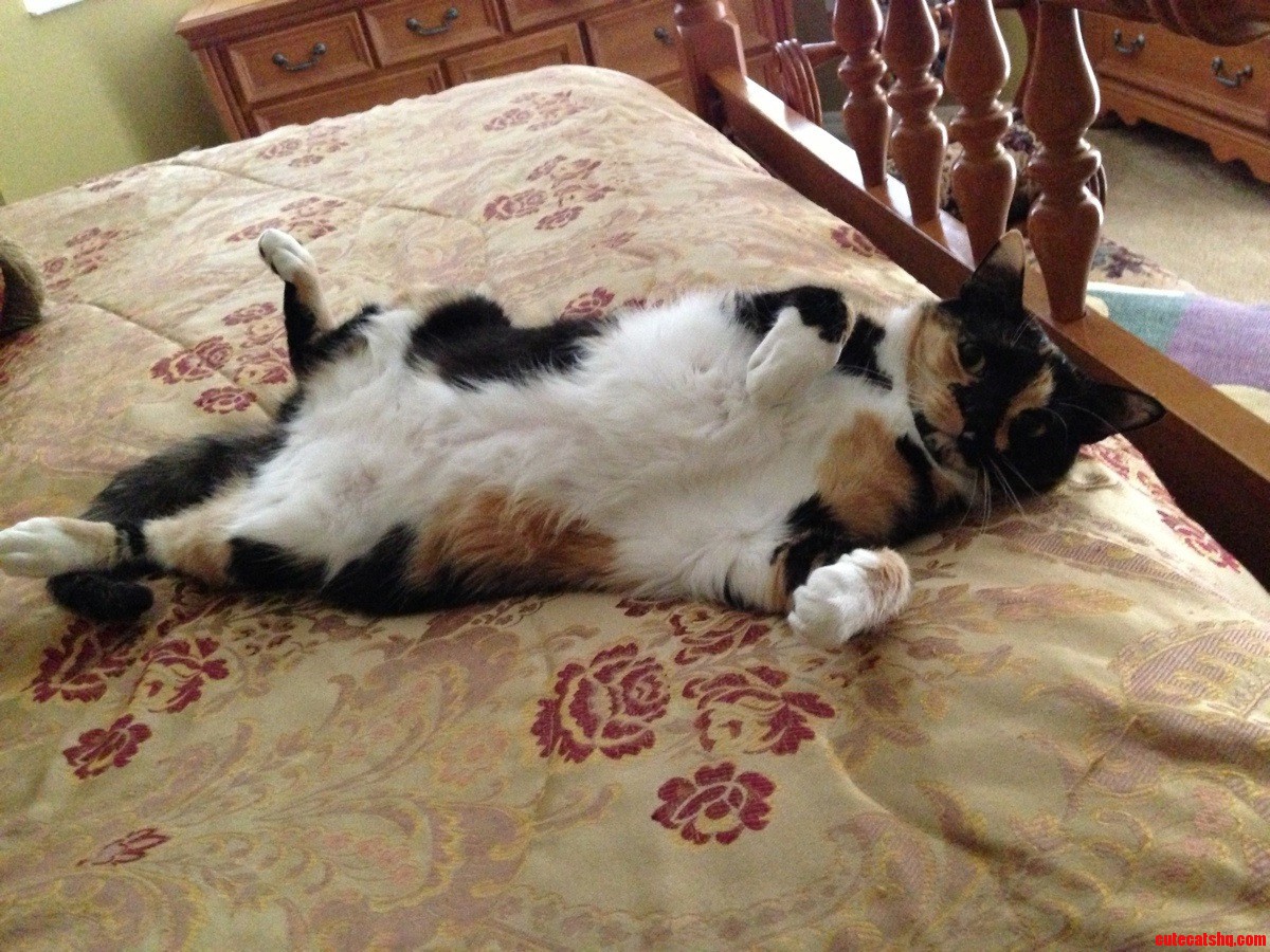I Walk Into My Moms Room to Find This