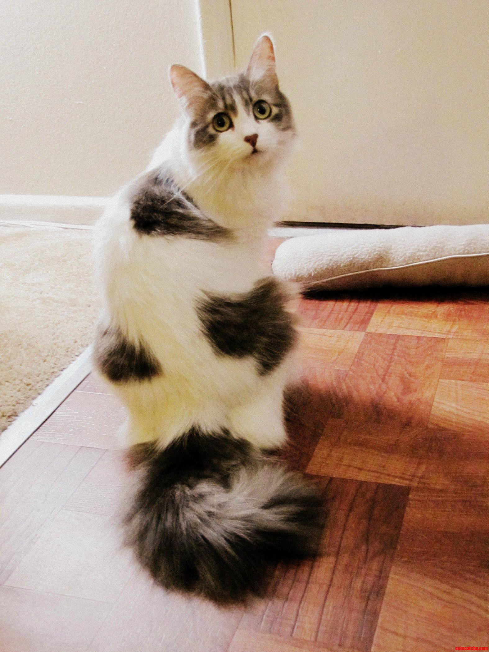 I Want to Go Out. Please