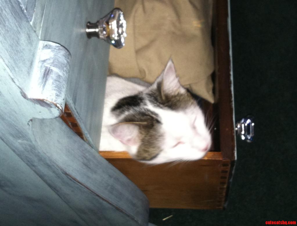 I Went to Get a Pair of Pants.