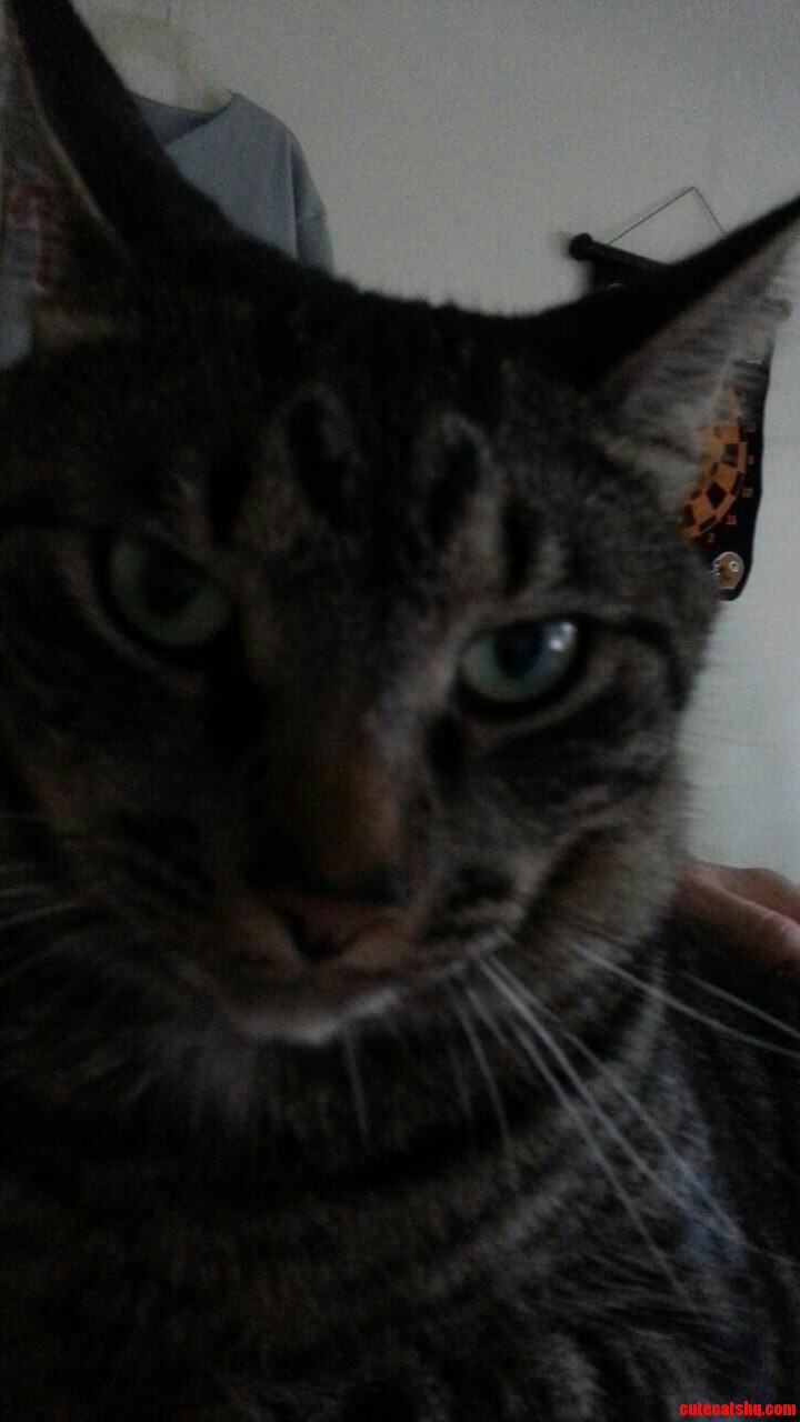 I Will Find You. and I Will Scratch You...