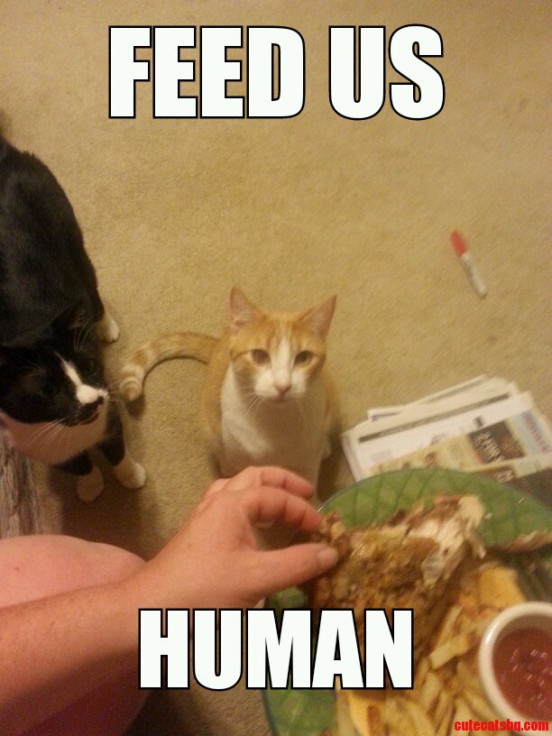 I Will Not Be Your Slave.