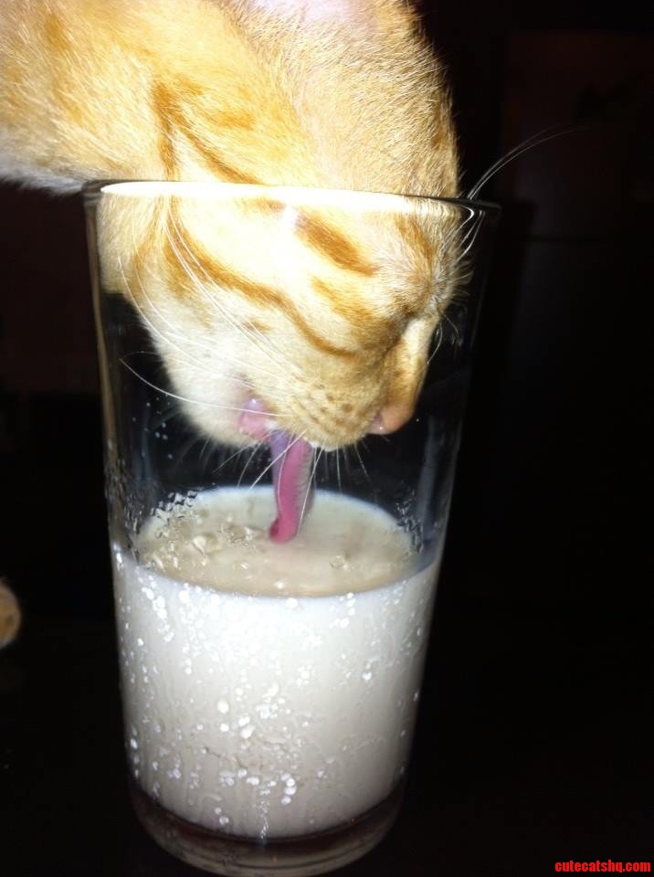 If I Fits I Sips