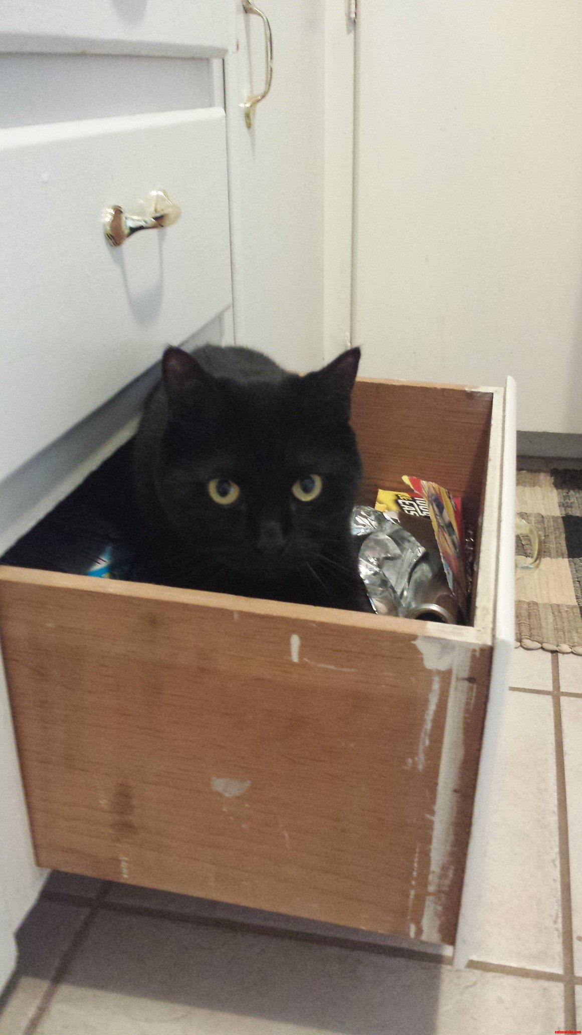 If I Fits  I Stits