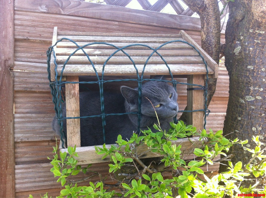 If It Fits It Sits