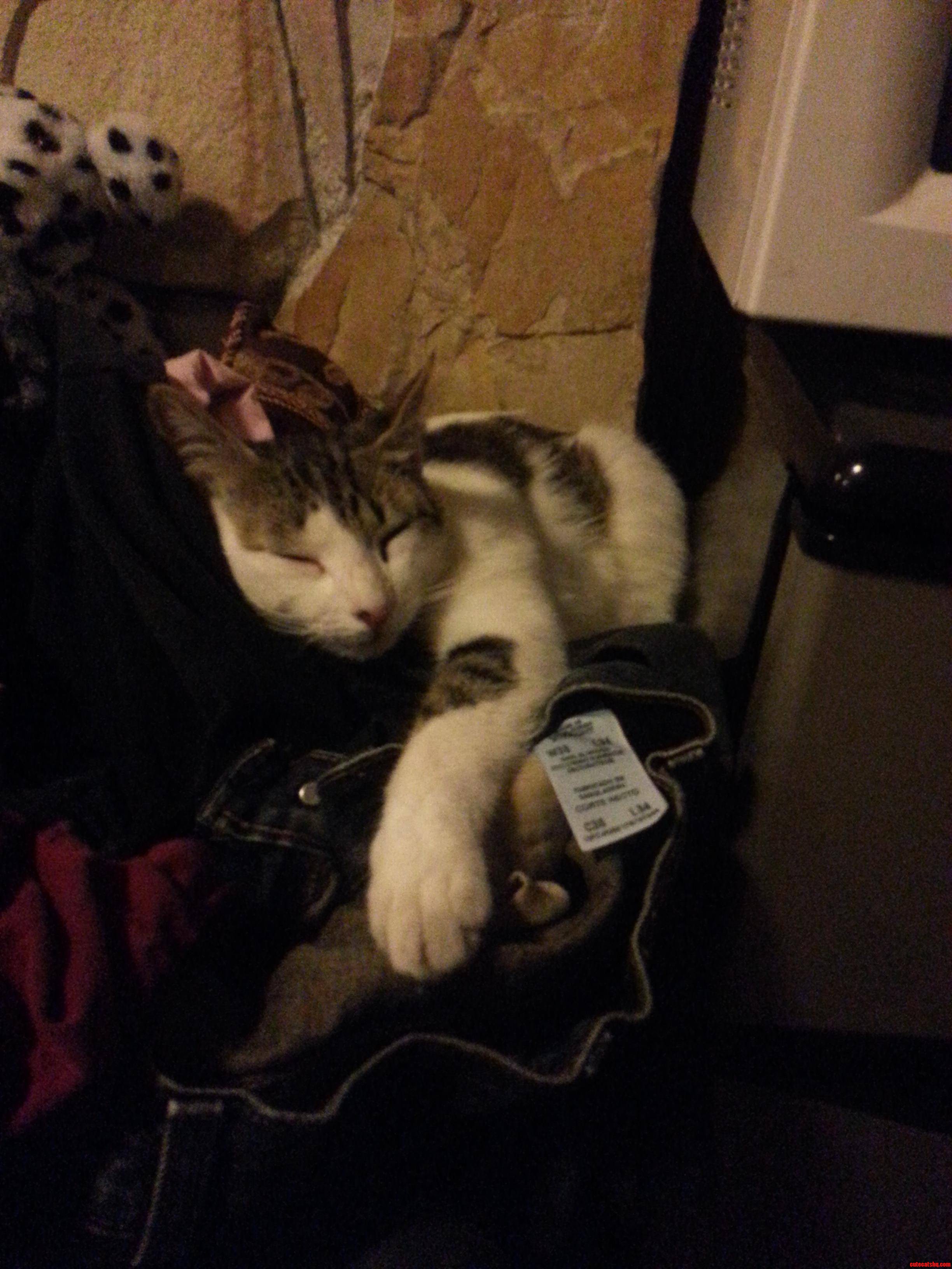 It S Been a Long Day  I Ll Finish the Laundry Tomorrow.