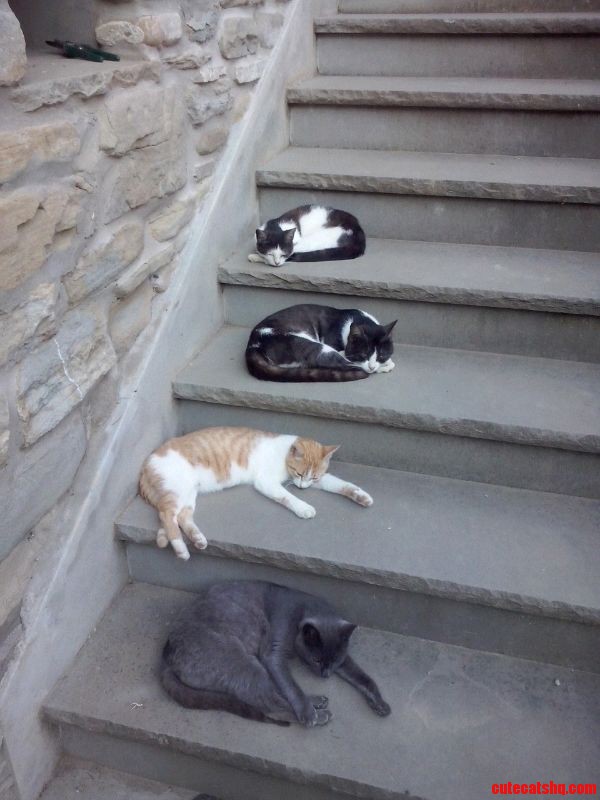It S Hot in Italy...
