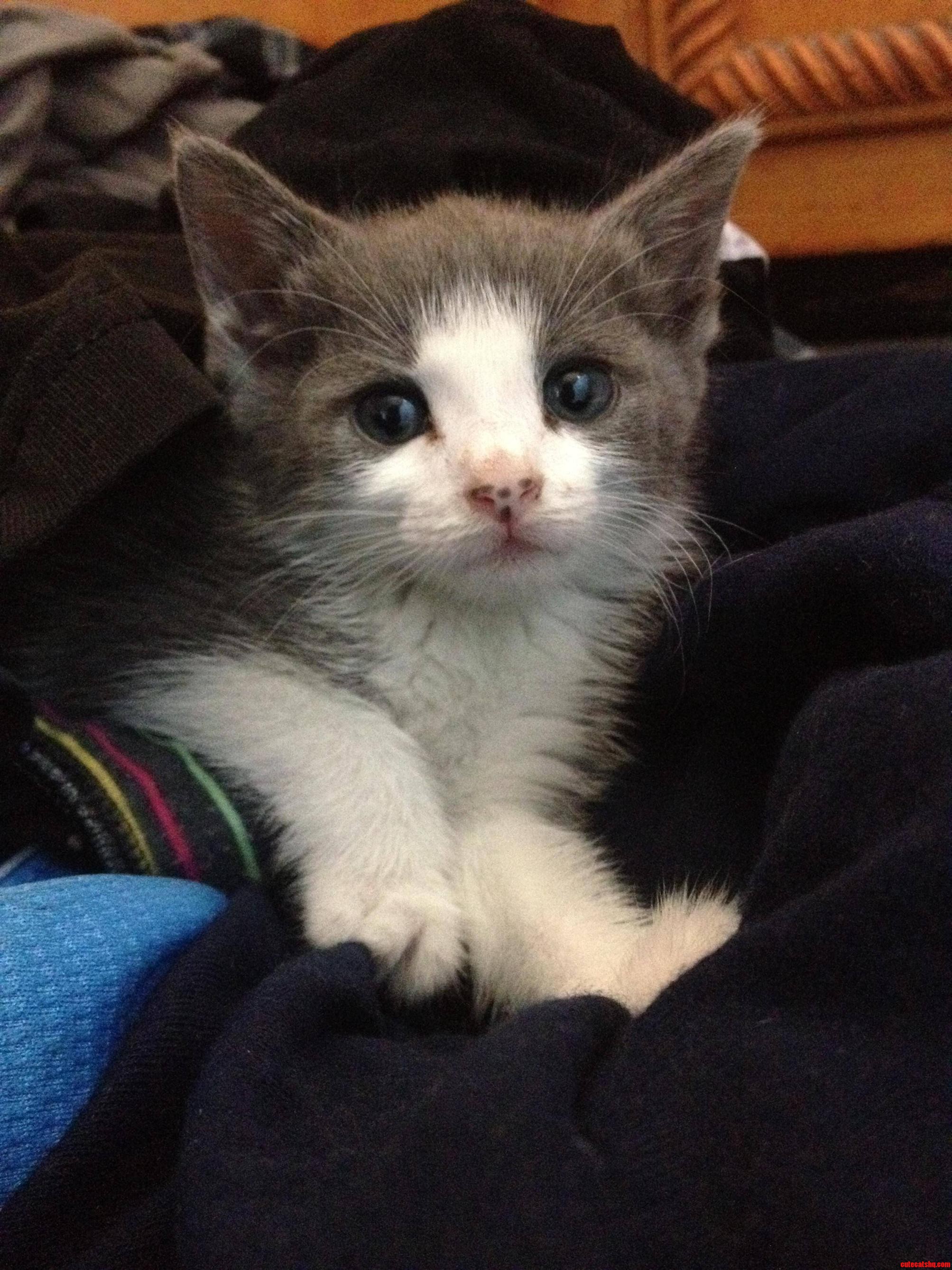 Just Hanging Out in a Pile of Clothes.