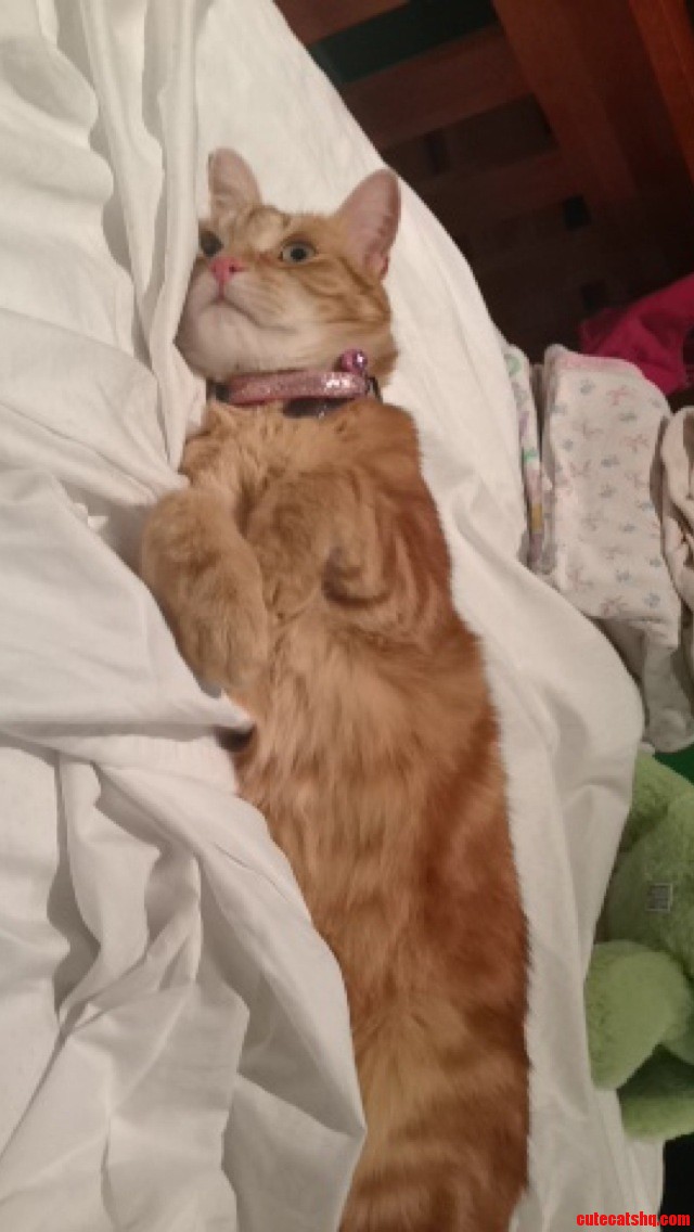 Just Laying on the Bed Relaxing