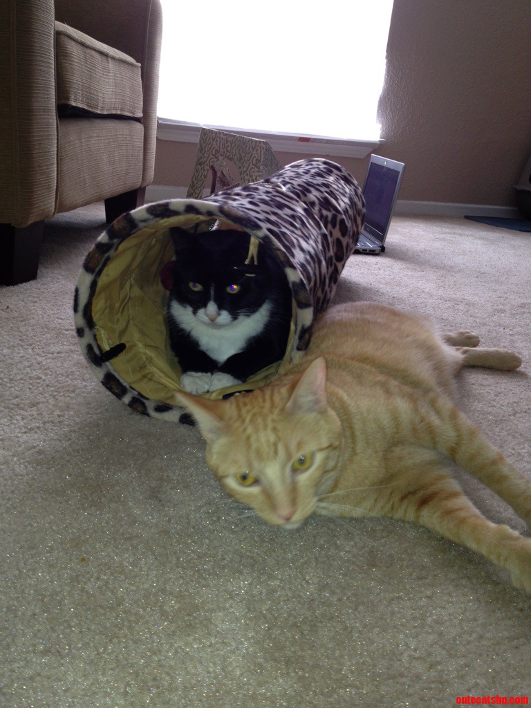 Just Relaxin