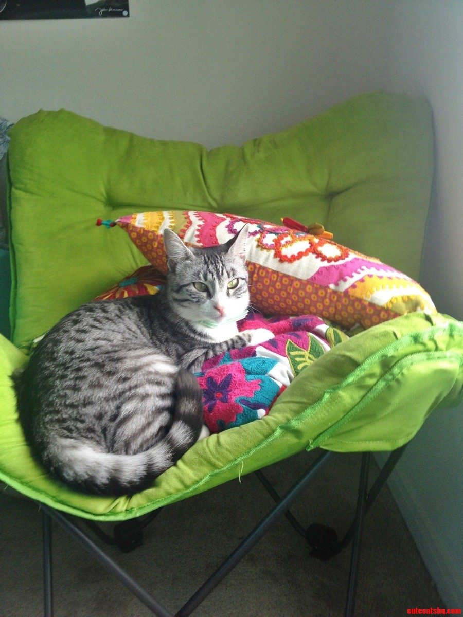 Lady Wishes She Was a Decorative Throw Pillow