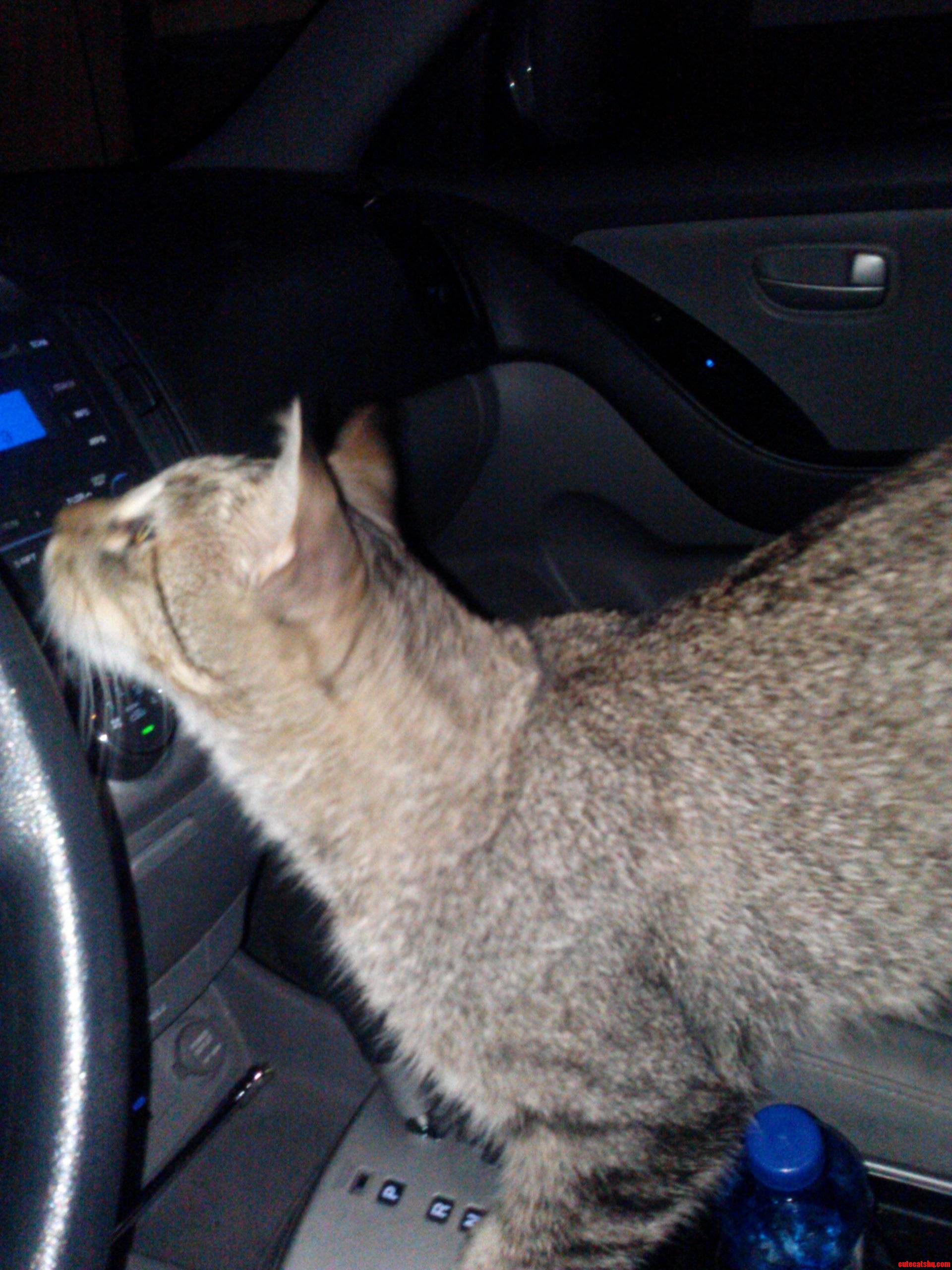 Learning to Drive. Nbd.