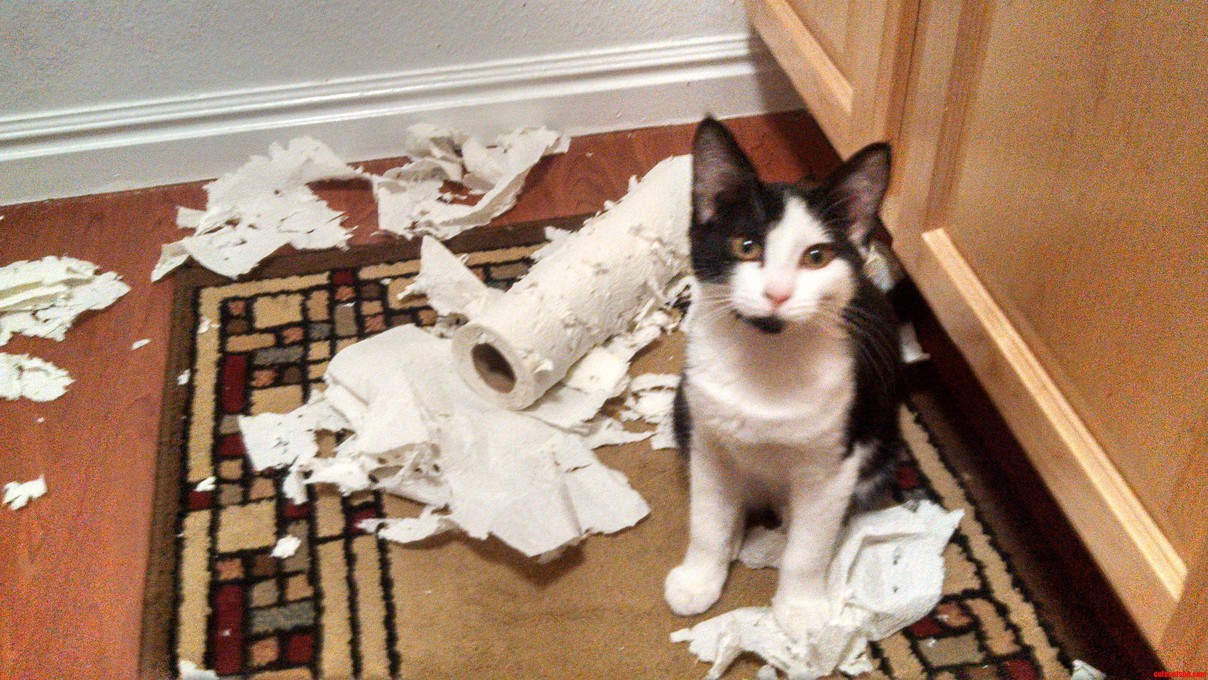 Looks Like Anakin Is Starting to Show His Dark Side.