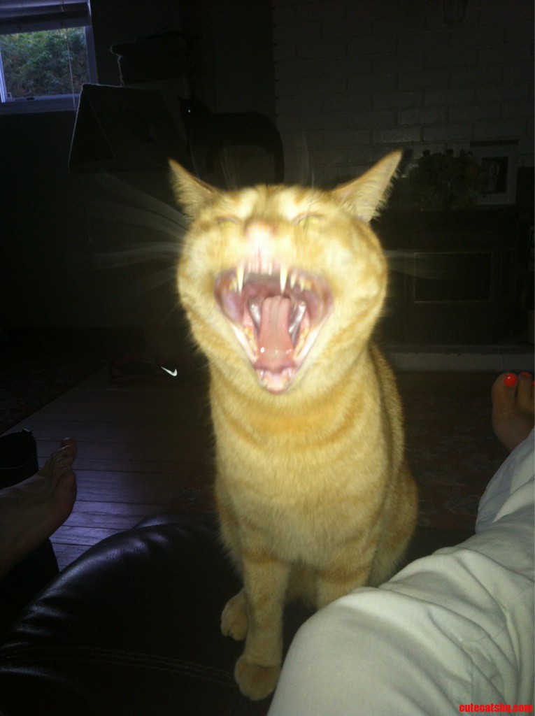 Looks Like He S Laughing.